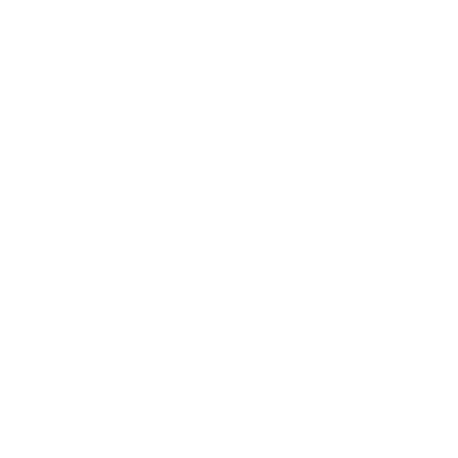 FireFly Main Logo